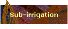 Sub-irrigation