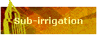 Sub-irrigation