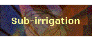 Sub-irrigation