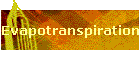 Evapotranspiration