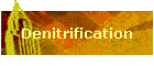 Denitrification