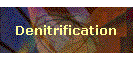 Denitrification