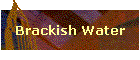 Brackish Water