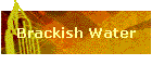 Brackish Water