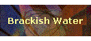 Brackish Water