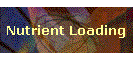 Nutrient Loading