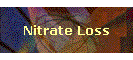 Nitrate Loss